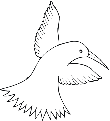 Humming Bird Coloring Page